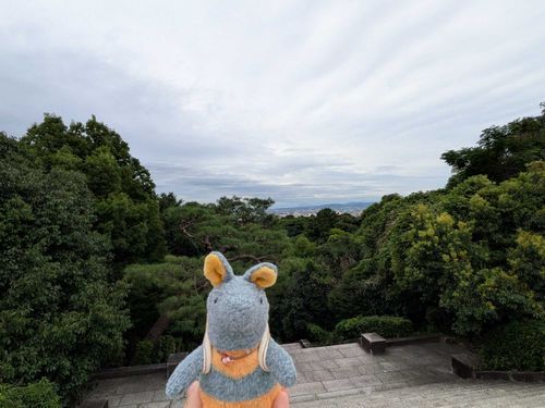 曇っていたけどいい景色だったのだ