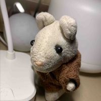 ハムちゃろー