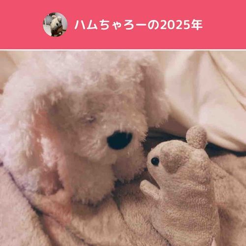 ひさしぶりなのだ