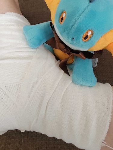 主さんが怪我したらしいので、看病中。
早く良くなってほしい。
そうしたら、またたくさん一緒にお出かけできる。