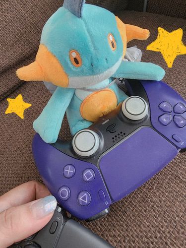 今日は主さんとゲーム。
ポケモン界の最強ゲーマー目指します⋆͛🎮⋆͛