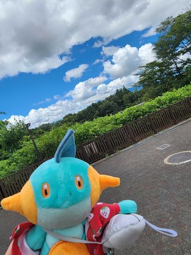 夏のキレイな青空☁
気持ちがいいねー