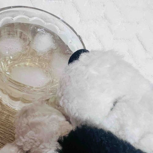 自家製ウメじゅうす〜おぃし。