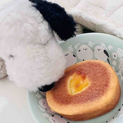 ぱいんとココナツの白あんぱ〜ん🥐ぺろり
