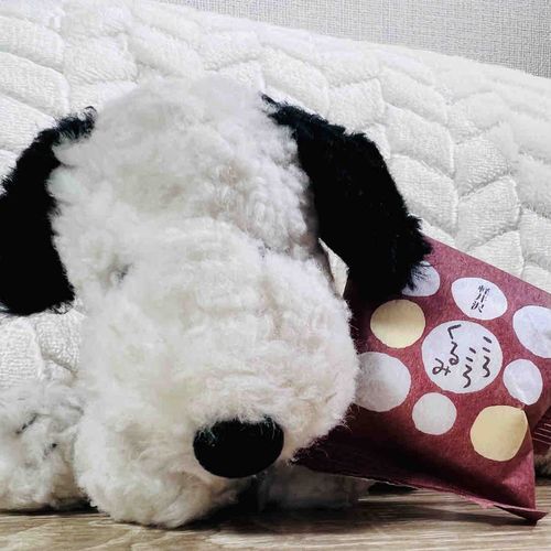 ころころくるみ❤︎