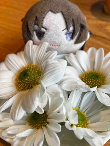 おはな！