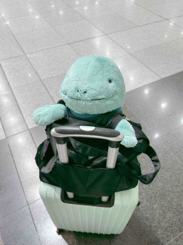 お出かけするヌァ！