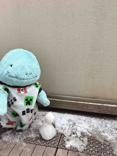 雪だるまつくたヌァ☃️
