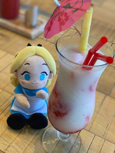 こんにちは！私もたまにお世話係とお出かけするの！よろしくね！