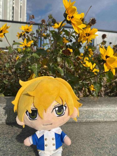 花も美しいな