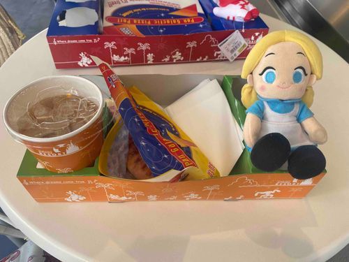 今日はディズニーランドにお出かけしてるの！