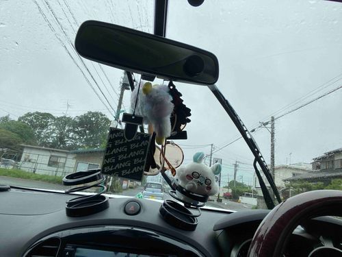 雨だけど行ってくる