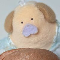 ふわきお嬢様