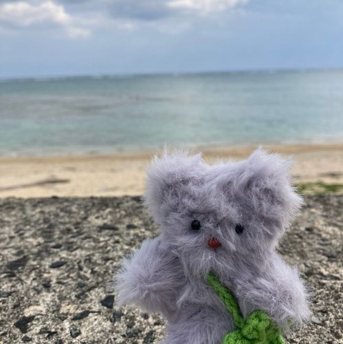 ぼくは、「ぶんた」という名前です。
よく、ぶんぶんって呼ばれてます。
鹿児島県の奄美大島で生まれました。
本を読んだり、音楽を聴いたり、美味しいものを食べるのが好きです。
綺麗なお花も好き！
よろしくね！
