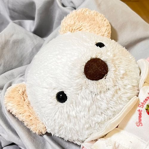 のぶ家のリーダー、くまちゃん(21)
頼もしいね！