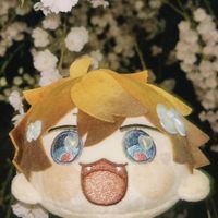 まるっとしたきたみ