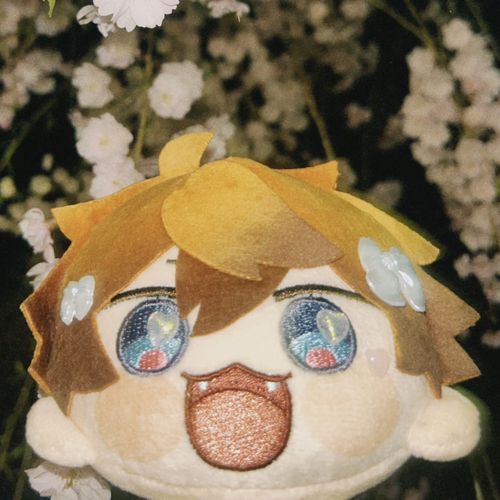 まんまるきたみ
元気タイプ