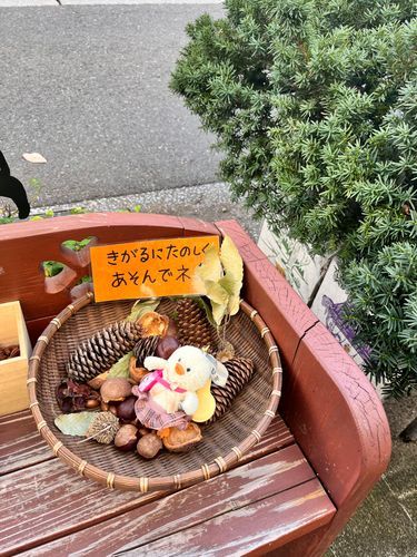 飼い主にどんぐりだとおもわれてるのかも