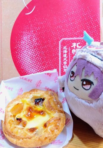 旅行のお土産のアップルパイです。

さくさくでおいしかったぞ。