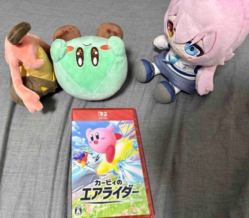 よっしゃああああああ！！ついに来たポヨォ！
ウォオオオオオ！！

チョ…チョコミントちゃんテンション高すぎ…

まぁ気持ちは分かるよ。おじさんもこのゲームを待ってたし♪
