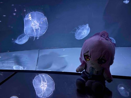 みんな〜ハッピーニューイヤー！おじさん達は今サンシャイン水族館に居るんだ～♪今年もチョコミントちゃんをよろしくね〜！