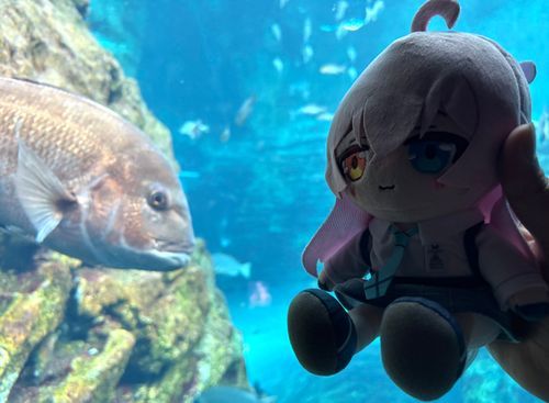 シャトレーゼホテルをチェックアウトした後は、上越市立水族博物館 うみがたりに来たよ〜！