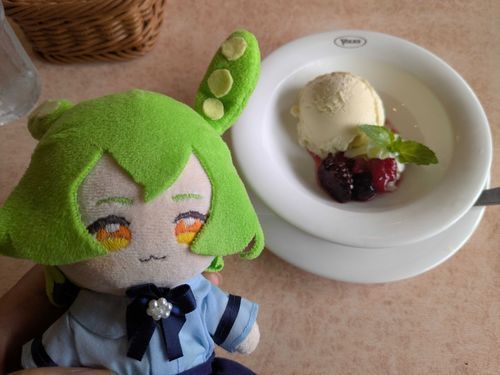 「アイス🎶暑い日はアイスだね🎶もうすぐお母さんの誕生日だから、何か考えないとなのだ……」