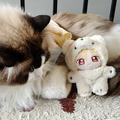 貓?!🐱🐻‍❄️