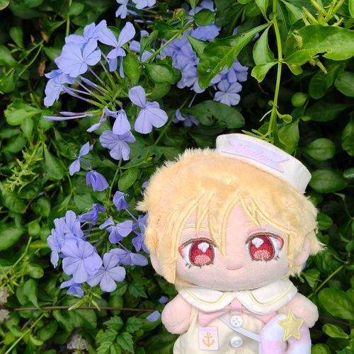 ✲✲(„• ᴗ •„)