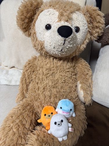 くまのまるっとちゃんとイルカのラムネとアザラシのだいふくとトドのモミジです