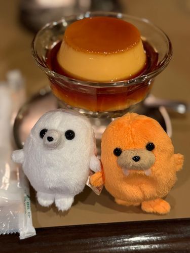 だいふくとモミジと硬めプリン
カラメルたっぷりで美味しい