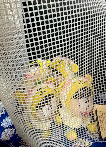 あみに、とじこめられちゃったぜ💦💦