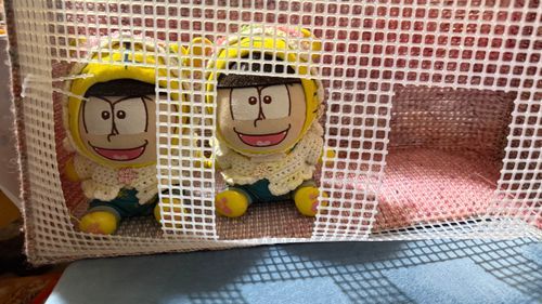 のぞきあな？