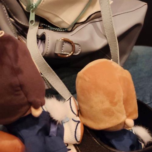 おれらもでっかいおれらのえいがみにいったよ👀🍿
よし
もちぬしさんのバッグのなかからそーっとのぞいてたんよ☺️おもしろかったぁ🥰
のり