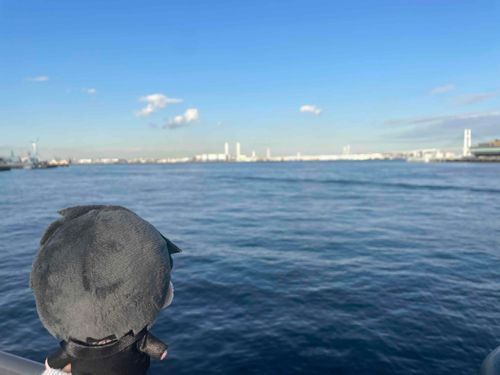 これが海だよ