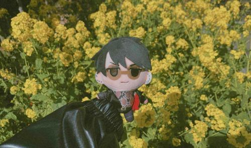 ꕤ︎︎·͜· ︎︎
