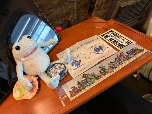 2026年6月
尼崎でお迎えしました。
名前は出身地から「しお江」です。