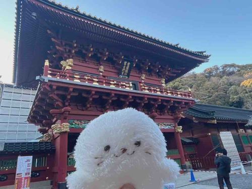 ついた
はつもうで❣️

いい一年になりますように✨