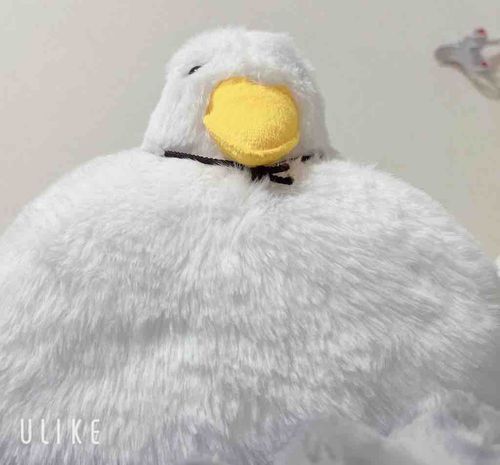 名前  ぷくちゃん 
体重   2kg
自認 鏡もち