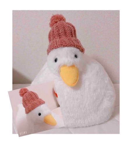 ぷくちゃん用のニット帽を編んだよ

ぷくちゃんにプレゼント🎁
似合ってくれてありがとう❣️