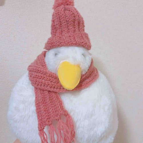 ぷくちゃんにマフラーもプレゼント🎁

お帽子とお揃いでかわいいね( ◜ᴗ◝)