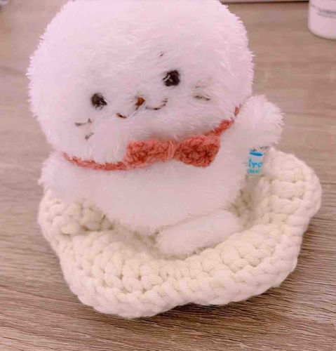 ほらね