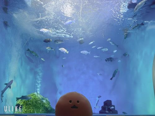 ガチャガチャで手に入れたもぐらコロッケと地元旅行
