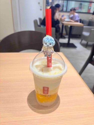 新人
シマエナガのひなこ🍼