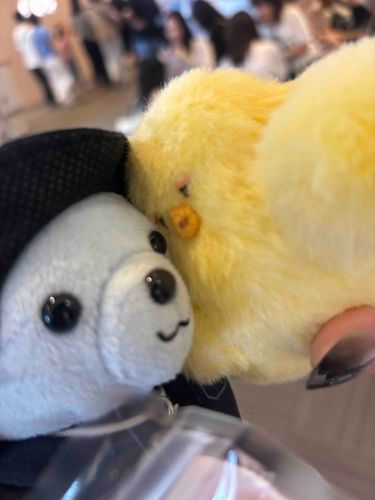カメラはここです！✨🐻‍❄️🐥✨

＿＿＿＿＿
フェス会場でひよちょさんと合流〜！
記念撮影ﾊﾟｼｬﾘ📷✨