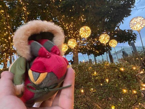 🍓「ふゆのきらきら！」

＿＿＿＿＿
去年のクリスマスイルミネーション