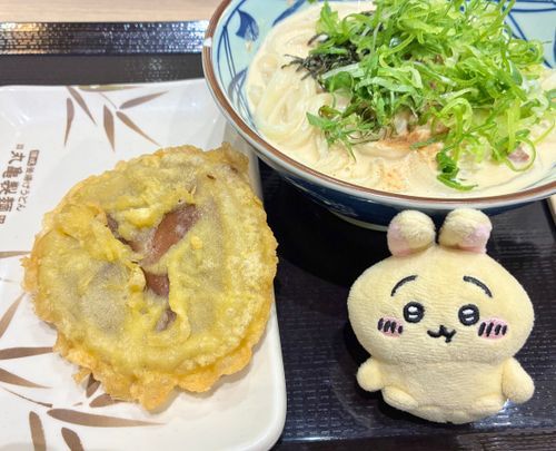 丸亀🍜むちゃ大きなしいたけの天ぷら🍄‍🟫🐰