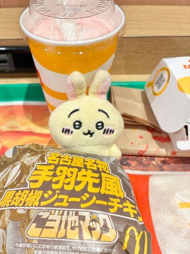 黒胡椒の味が強くて美味しかった✨🐰🍔