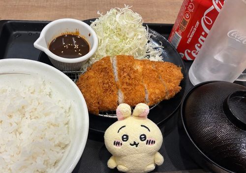 初松のや✨ロースカツ定食がクーポン使って580円だった✨🐰しかもご飯おかわり無料🍚
