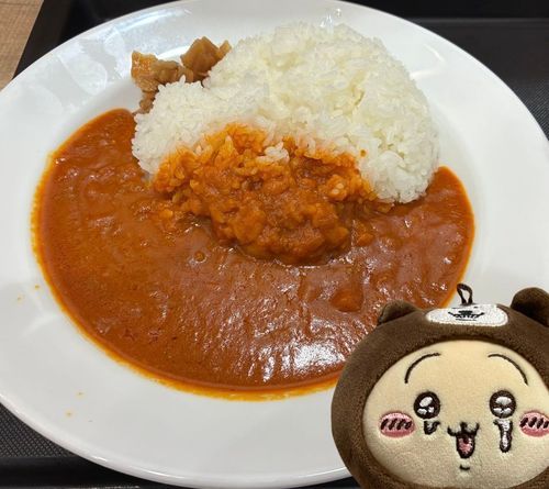 松屋のネオトマトカレー🍅ちょっとクリーミーだけどピリ辛で美味しかった！✨🐰✌️